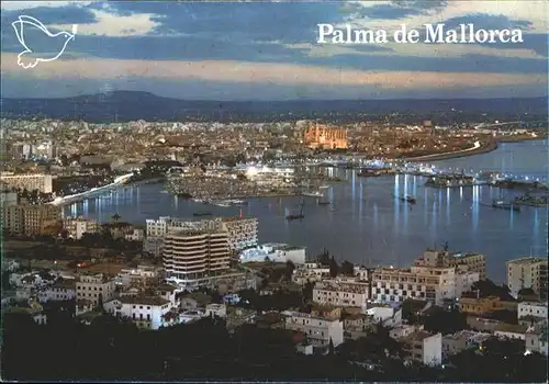 Mallorca Palma / Spanien /