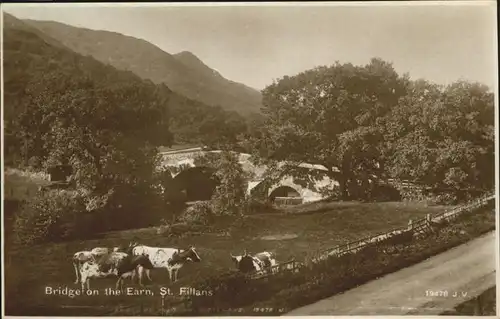 St Fillans Bridge Kuehe / Grossbritannien /