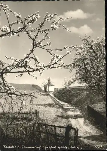 Glatz Niederschlesien Kapelle  / Klodzko /