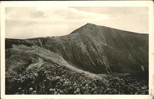 Krkonose Snezka / Polen /