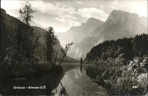 Gruenau Almtal  / Gruenau im Almtal Salzkammergut /Traunviertel