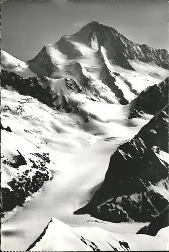 Aletschhorn Gruenhornluecke Aletschjoch  / Aletschhorn /Rg. Finsteraarhorn