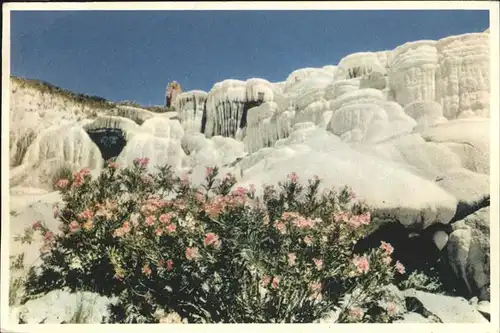 Pamukkale Denizli / Tuerkei /