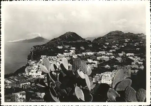 Capri  / Italien /