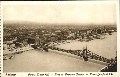 Budapest Franz-Josefs-Bruecke / Budapest /