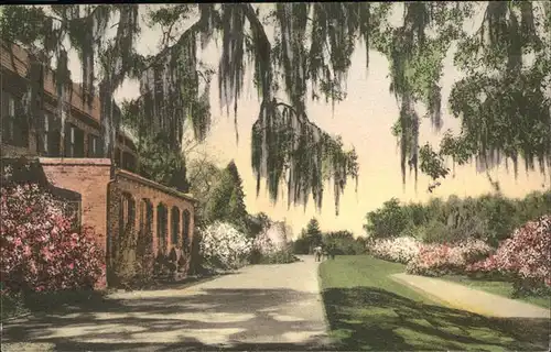 Charleston South Carolina Middleton Place Gardens / Charleston /