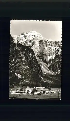 Gruenau Almtal  / Gruenau im Almtal Salzkammergut /Traunviertel