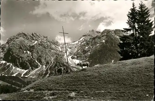 Mittelberg Kleinwalsertal Wildental Schafalpenkoepfen / Oesterreich /