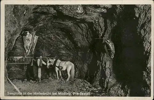 Moedling Seegrotte Hinterbruehl Pferdestall / Moedling /Wiener Sueden