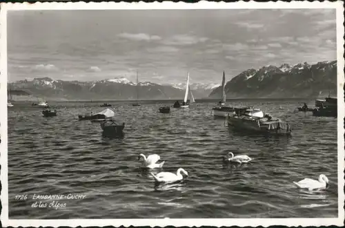 Lausanne VD Lausanne Boot Schwan * / Lausanne /Bz. Lausanne City