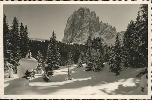 Sassolungo Sassolungo Dolomiti Val Gardena * / Italien /