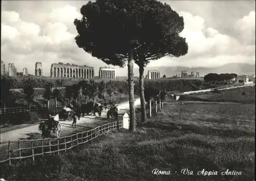 Rom Roma Roma Appia Antica Kutsche  Esel x /  /Rom