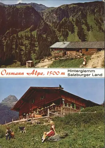 Hinterglemm Saalbach Salzburger Land Ossmann Alpe x / Oesterreich /