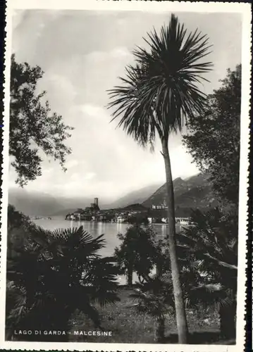 Malcesine Malcesine Lago Garda * / Italien /Italien