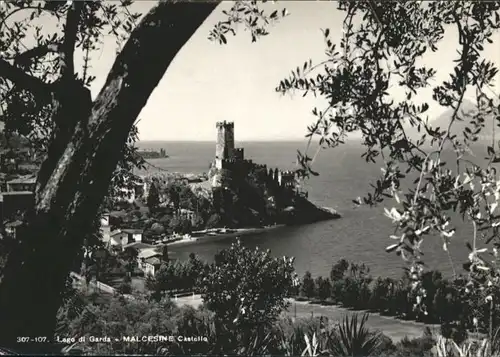 Malcesine Malcesine Castello Lago Garda x / Italien /Italien