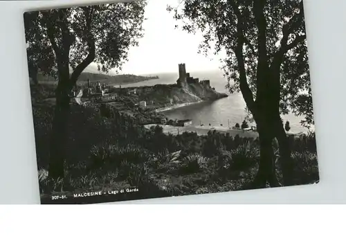 Malcesine Malcesine Lago Garda Gardasee x / Italien /Italien