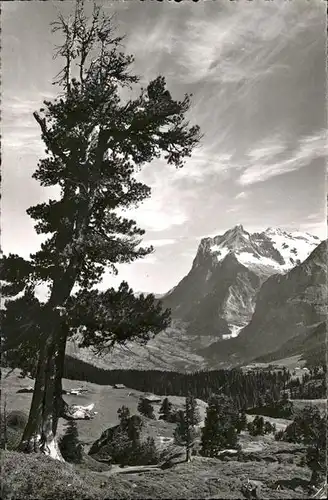 hw00070 Grindelwald Wetterhorn Kategorie. Grindelwald Alte Ansichtskarten