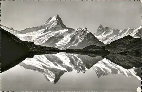 Bachalpsee Schreckhorn Finsteraarhorn Kat. Grindelwald