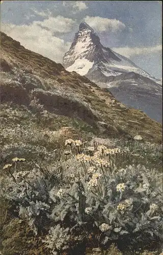hw00242 Matterhorn VS  Kategorie. Matterhorn Alte Ansichtskarten