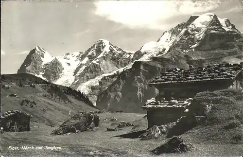 Eiger Grindelwald Moench Jungfrau Kat. Eiger