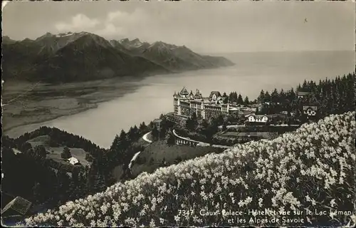 hw00365 Lac Leman Genfersee Caux Palace Kategorie. Genf Alte Ansichtskarten