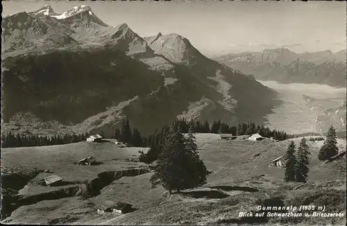 Gummen Alp Schwarzhorn Brienzersee Kat. Gummen