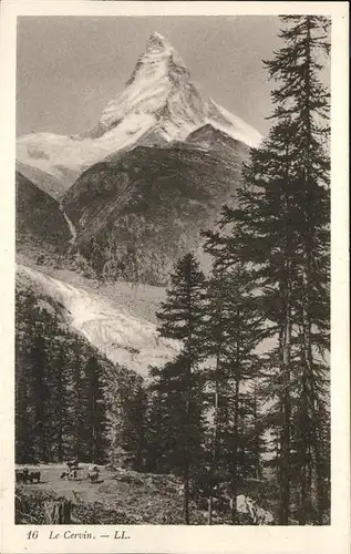 hw00474 Matterhorn VS  Kategorie. Matterhorn Alte Ansichtskarten