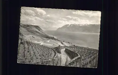 hw00525 Lavaux VD  Kategorie.  Alte Ansichtskarten