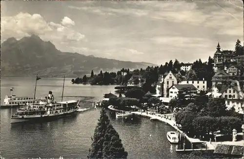 Richterswil Schiff Kat. Richterswil