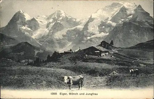 Moench BE Eiger Jungfrau Kuehe / Moench /Rg. Finsteraarhorn