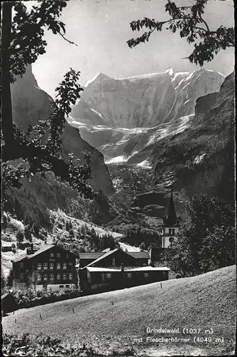 hw02335 Grindelwald Fiescherhoerner Kategorie. Grindelwald Alte Ansichtskarten