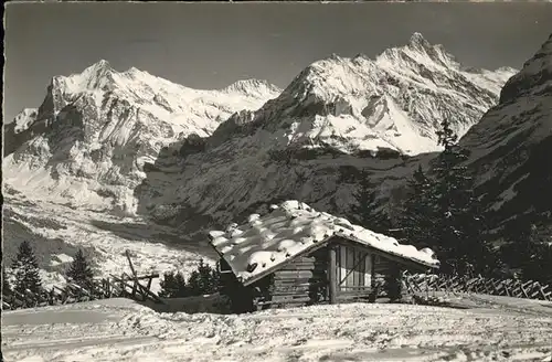 hw02368 Grindelwald Wetterhorn Berglistock Mettenberg  Kategorie. Grindelwald Alte Ansichtskarten