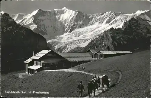 hw03468 Grindelwald Fiescherwand Pferd Kategorie. Grindelwald Alte Ansichtskarten