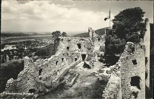 Schloss Dorneck Ruine