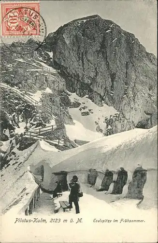 Pilatus Kulm Eselspitze  Kat. Pilatus Kulm