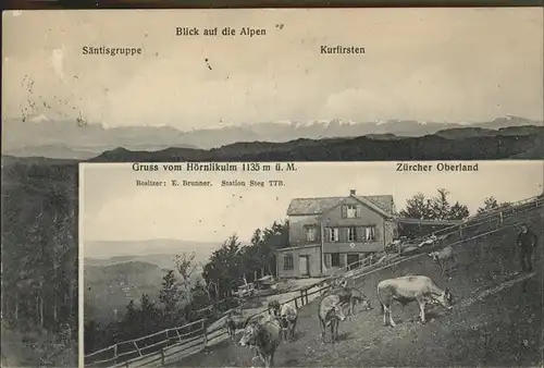 Hoernli Kulm Saentisgruppe Kurfirsten Kuehe /  /