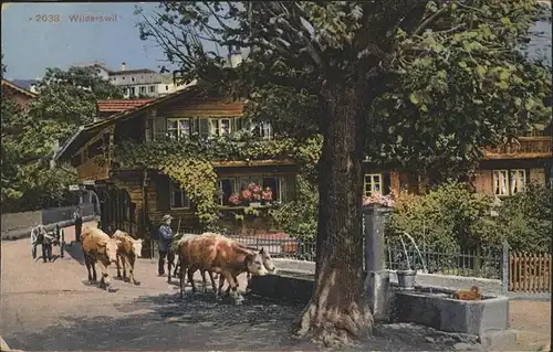 Wilderswil Brunnen Kuehe Kat. Wilderswil