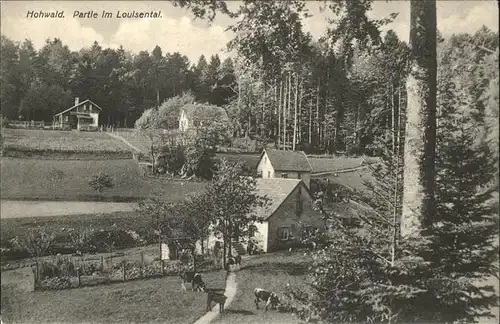 Le Hohwald Louisental / Le Hohwald /Arrond. de Selestat-Erstein