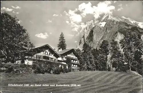 hw12201 Grindelwald Hotel Adler Wetterhorn Kategorie. Grindelwald Alte Ansichtskarten