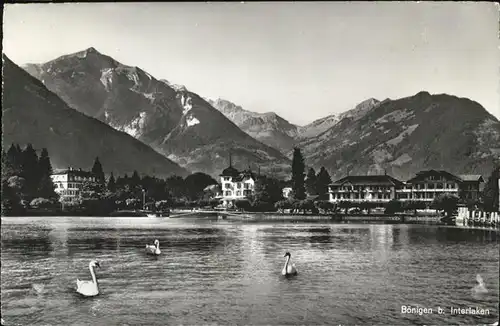 Boenigen Interlaken Schwan Kat. Boenigen Interlaken