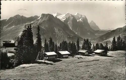 Gummen AlpWetterhorngruppe Kat. Gummen