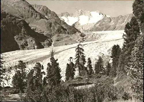 Kuesnacht Blaukreuzjugendwerk
Aletschgletscher Kat. Kuesnacht