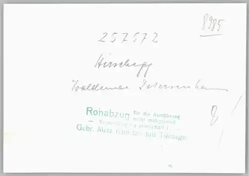 wd92508 Hirschegg Kleinwalsertal Vorarlberg Hirschegg Kleinwalsertal * Kategorie. Mittelberg Alte Ansichtskarten