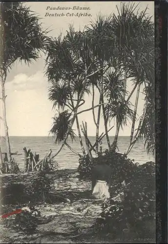 Deutsch-Ostafrika Pandanus Baeume / Deutsch-Ostafrika /