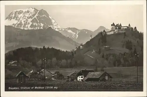 Gruyeres FR Chateau Moleson / Gruyeres /Bz. La Gruyere