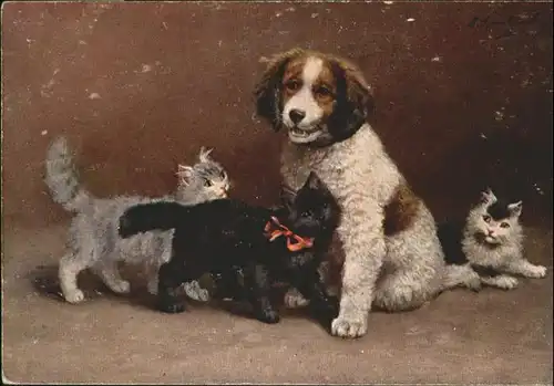 Hunde Katze / Tiere /