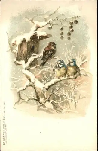 Voegel Vogelhaus / Tiere /