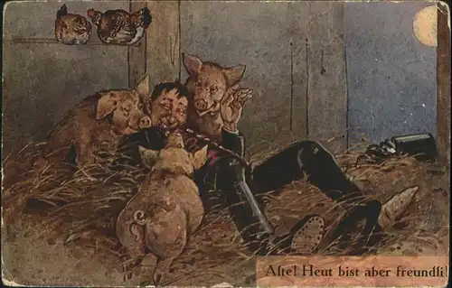 Schweine Humor Stall / Tiere /