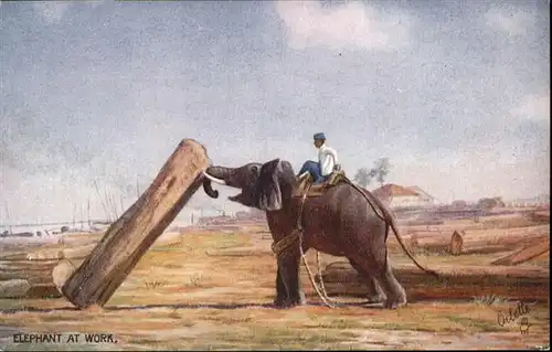 Dickhaeuter Elefant Tucks Oilette Nr. 8902 Elephant at work / Tiere /