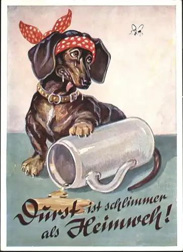 Hunde Dackel Bierkrug / Tiere /